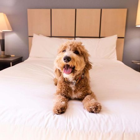Sonesta Simply Suites Pittsburgh Airport Imperial Ngoại thất bức ảnh