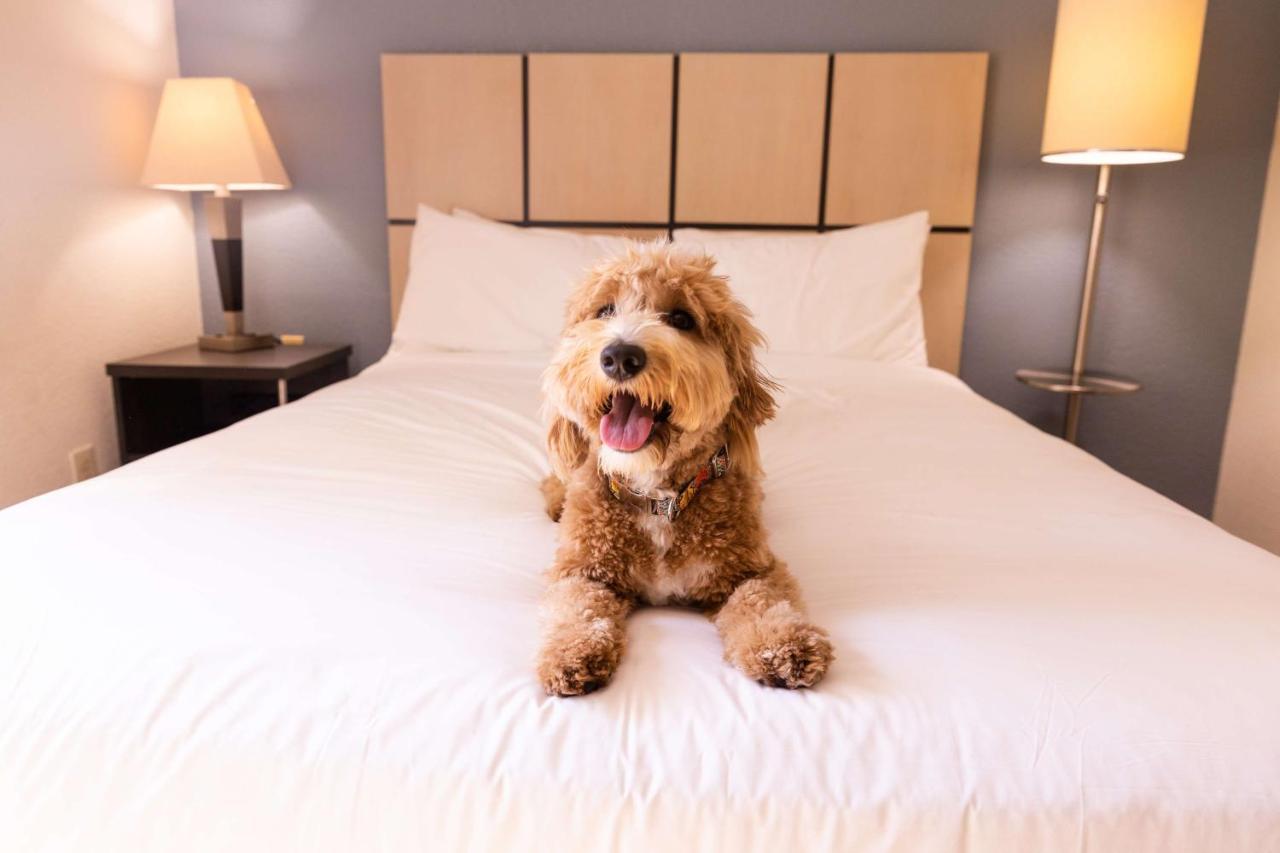 Sonesta Simply Suites Pittsburgh Airport Imperial Ngoại thất bức ảnh